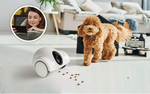 Guliguli Gives Peace Of Mind To Pet Owners With Their Pet Companion Robot Guliguli Gives Peace Of Mind To Pet Owners With Their Pet Companion Robot