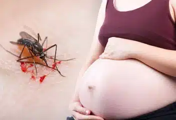Malaria Drugs During Pregnancy Malaria